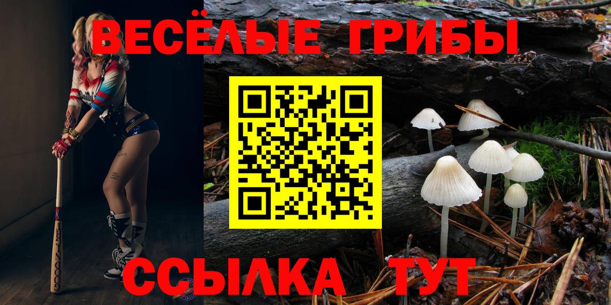 Галлюциногенные грибы мухоморы Ачхой-Мартан