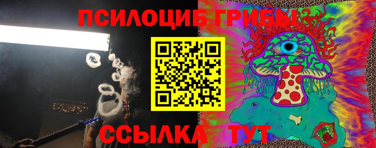Псилоцибиновые грибы Magic Shrooms  где продают наркотики  Вход с VPN  Ачхой-Мартан  Галлюциногенные грибы MAGIC MUSHROOMS 