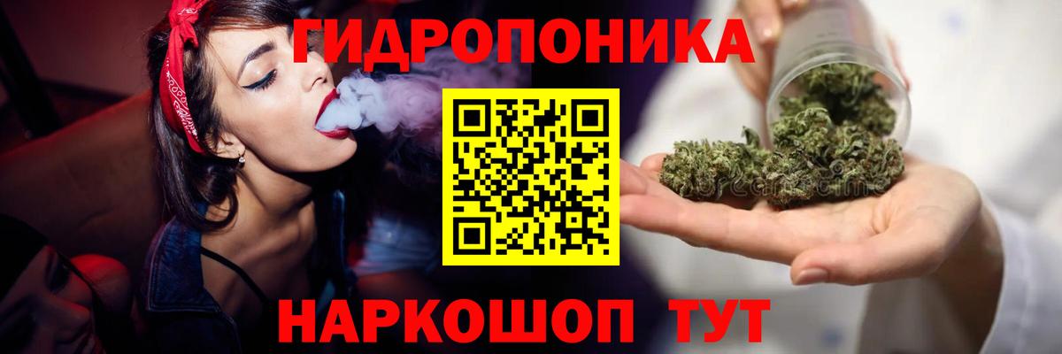 Ачхой-Мартан  Каннабис гибрид  Бошки Шишки Ganja  Вход с VPN  Каннабис LSD WEED 